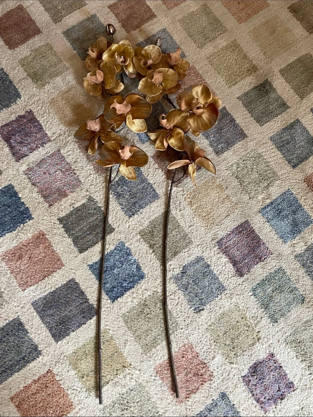 Gold Orchid Stems (2)